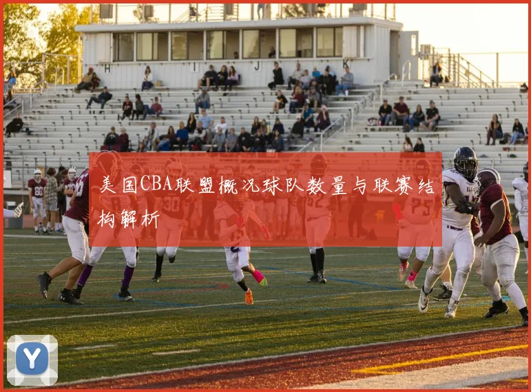 美国CBA联盟概况球队数量与联赛结构解析