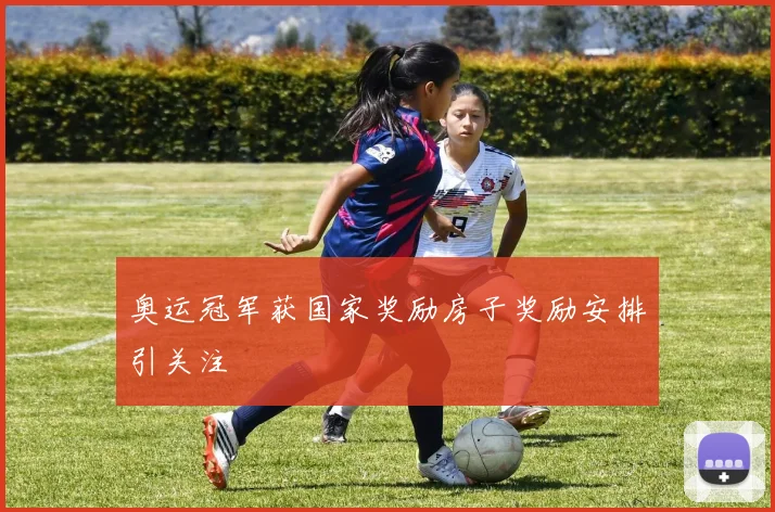 奥运冠军获国家奖励房子奖励安排引关注