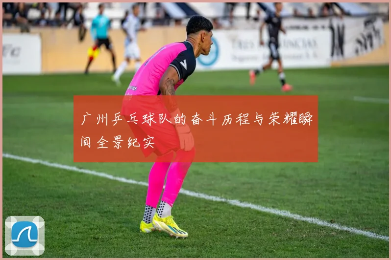广州乒乓球队的奋斗历程与荣耀瞬间全景纪实